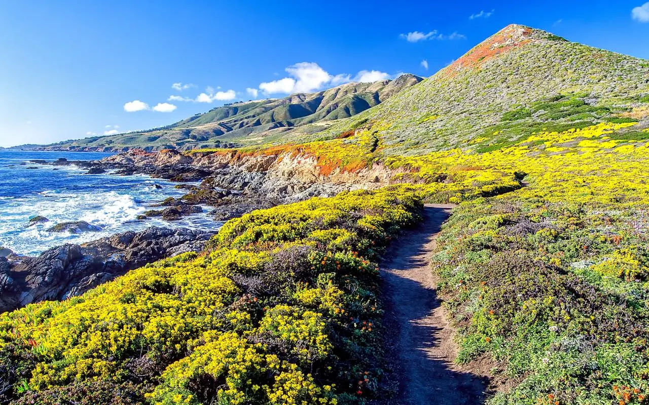 全自动高端无人化
